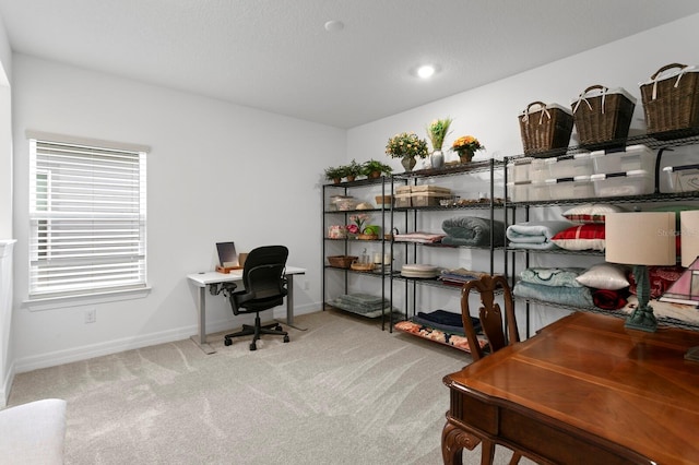 3559 Maple Bay Ln, Land O Lakes, FL 34638 - office area featuring carpet and baseboards