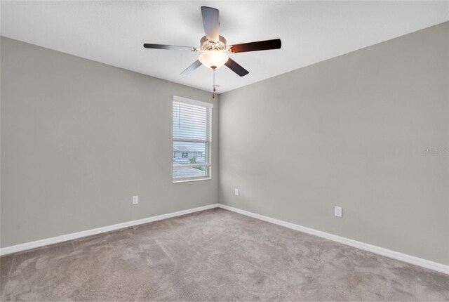 5432 Rainwood Meadows Dr, Apollo Beach, FL 33572 - photo 19