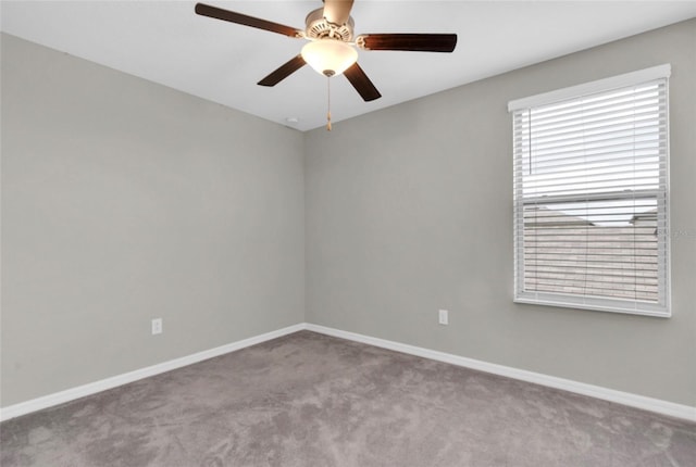 5432 Rainwood Meadows Dr, Apollo Beach, FL 33572 - photo 22