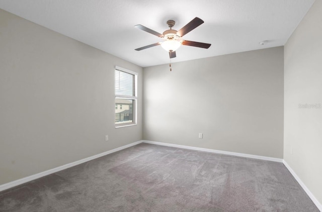 5432 Rainwood Meadows Dr, Apollo Beach, FL 33572 - photo 24