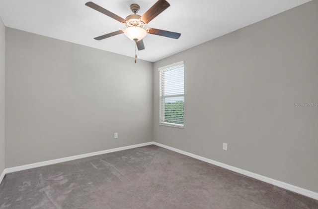 5432 Rainwood Meadows Dr, Apollo Beach, FL 33572 - photo 25