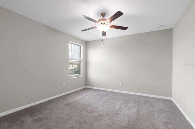 5432 Rainwood Meadows Dr, Apollo Beach, FL 33572 - photo 26