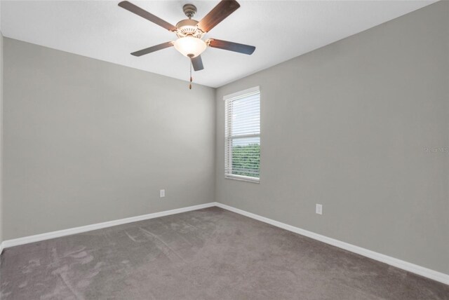 5432 Rainwood Meadows Dr, Apollo Beach, FL 33572 - photo 29