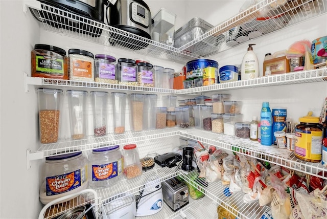 32136 Conchshell Sail St, Wesley Chapel, FL 33545 - view of pantry