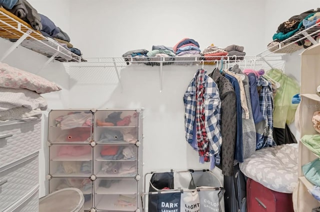 32136 Conchshell Sail St, Wesley Chapel, FL 33545 - view of spacious closet