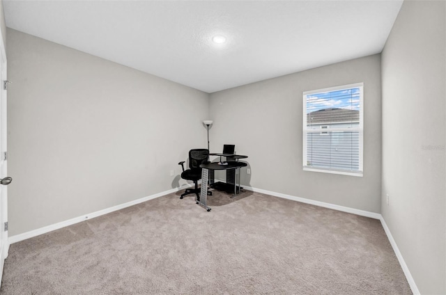 32136 Conchshell Sail St, Wesley Chapel, FL 33545 - unfurnished office featuring carpet and baseboards