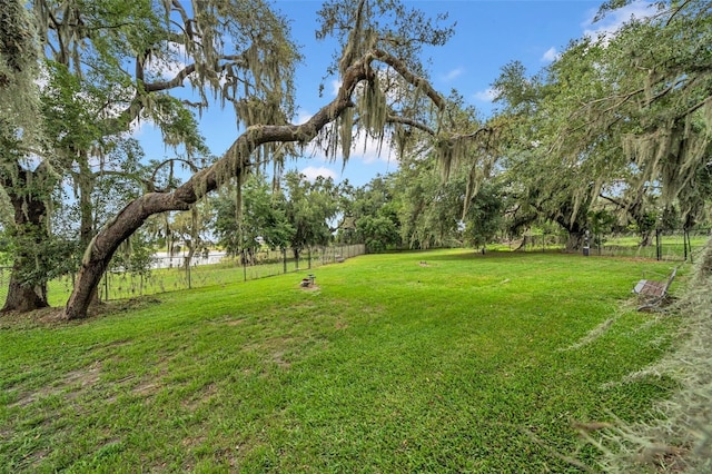32136 Conchshell Sail St, Wesley Chapel, FL 33545 - view of yard