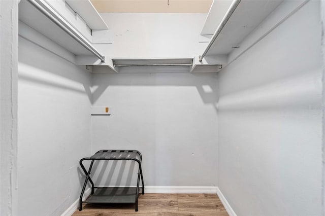 10339 111th St, Largo, FL 33778 - walk in closet with wood finished floors