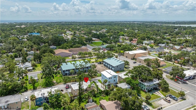 1771 Russell St S, Saint Petersburg, FL 33712 - drone / aerial view