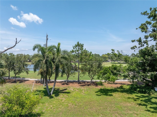 167 Almedo Way NE, Saint Petersburg, FL 33704 - view of green lawn