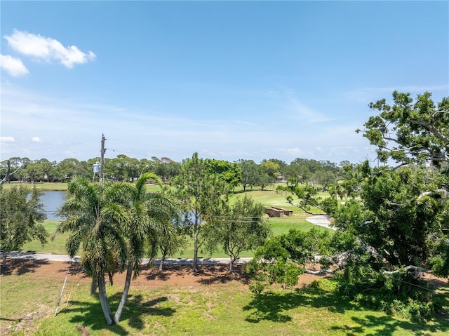 167 Almedo Way NE, Saint Petersburg, FL 33704 - view of grassy yard with view of wooded area and a water view