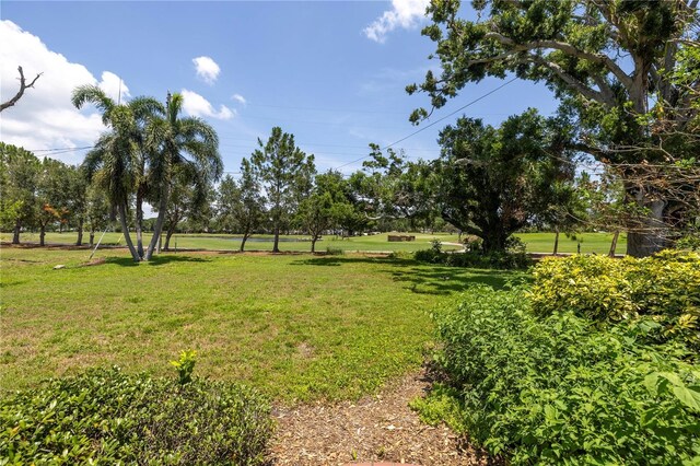 167 Almedo Way NE, Saint Petersburg, FL 33704 - view of green lawn