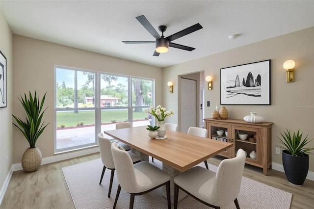 4044 Red Fox Ct, Wesley Chapel, FL 33543 - dining area with baseboards, a ceiling fan, and light wood-type flooring