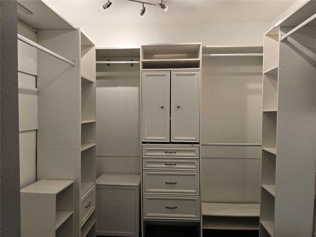 4044 Red Fox Ct, Wesley Chapel, FL 33543 - view of walk in closet
