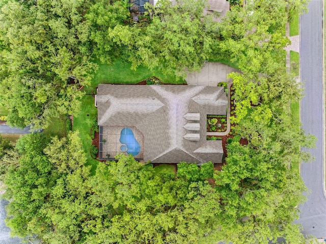 17802 Mission Oak Dr, Lithia, FL 33547 - view from above of property