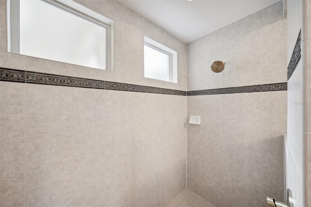 17802 Mission Oak Dr, Lithia, FL 33547 - full bathroom featuring a tile shower