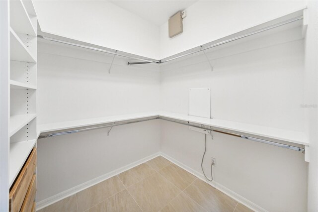 17802 Mission Oak Dr, Lithia, FL 33547 - view of spacious closet