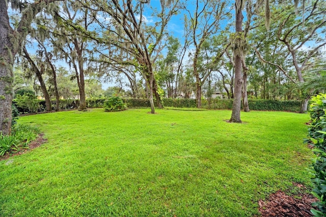 17802 Mission Oak Dr, Lithia, FL 33547 - view of yard