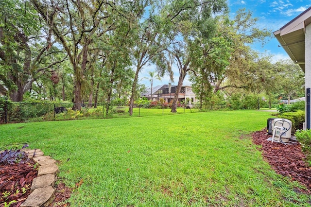 17802 Mission Oak Dr, Lithia, FL 33547 - view of yard