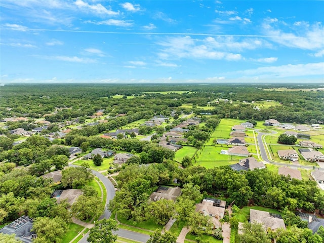 17802 Mission Oak Dr, Lithia, FL 33547 - aerial perspective of suburban area