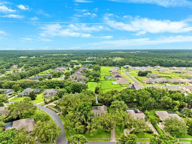 17802 Mission Oak Dr, Lithia, FL 33547 - aerial perspective of suburban area