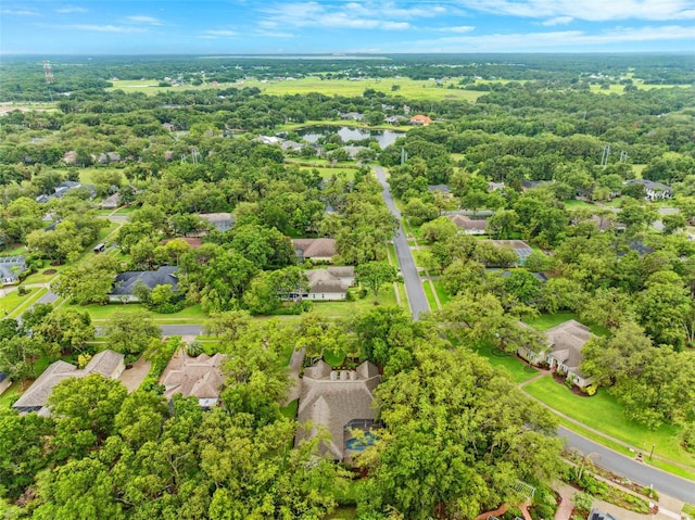17802 Mission Oak Dr, Lithia, FL 33547 - aerial view of residential area with a large body of water