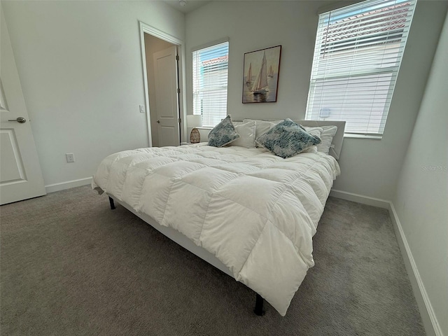 17304 Scuba Crest St, Wimauma, FL 33598 - carpeted bedroom featuring baseboards
