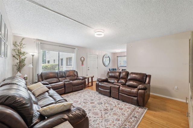 11809 Raintree Lake Ln Unit A, Tampa, FL 33617 - living area featuring light wood-style flooring, healthy amount of natural light, a textured ceiling, and baseboards