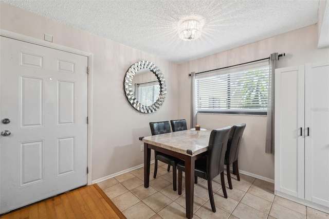 11809 Raintree Lake Ln Unit A, Tampa, FL 33617 - dining space featuring a textured ceiling, baseboards, and light tile patterned floors