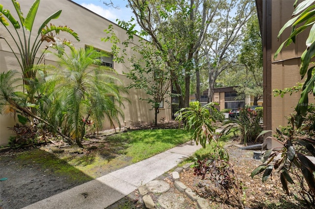 11809 Raintree Lake Ln Unit A, Tampa, FL 33617 - view of yard