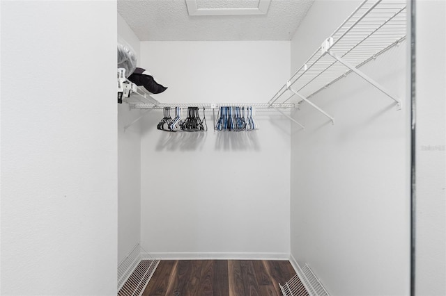 2699 Pine Ridge Way E Unit H2, Palm Harbor, FL 34684 - walk in closet featuring wood finished floors