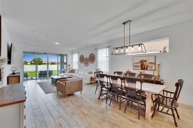 11785 Little River Way, Parrish, FL 34219 - dining room featuring healthy amount of natural light and light wood-style flooring