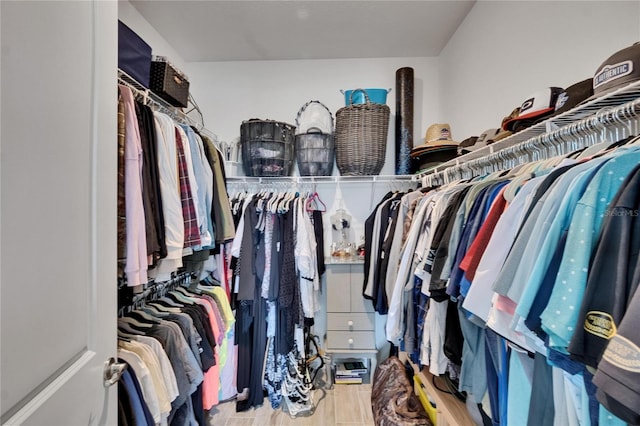11785 Little River Way, Parrish, FL 34219 - view of walk in closet