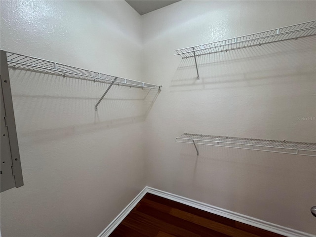 4305 Bayside Village Dr Unit 301, Tampa, FL 33615 - photo 15