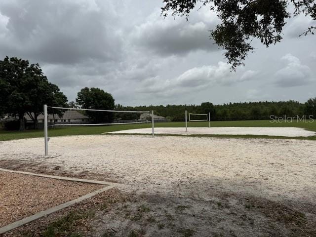 5519 Reflections Blvd, Lutz, FL 33558 - surrounding community featuring volleyball court