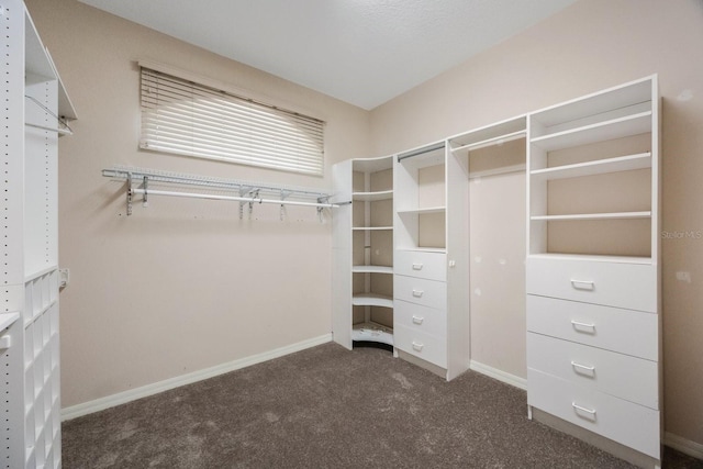 5519 Reflections Blvd, Lutz, FL 33558 - spacious closet with dark colored carpet