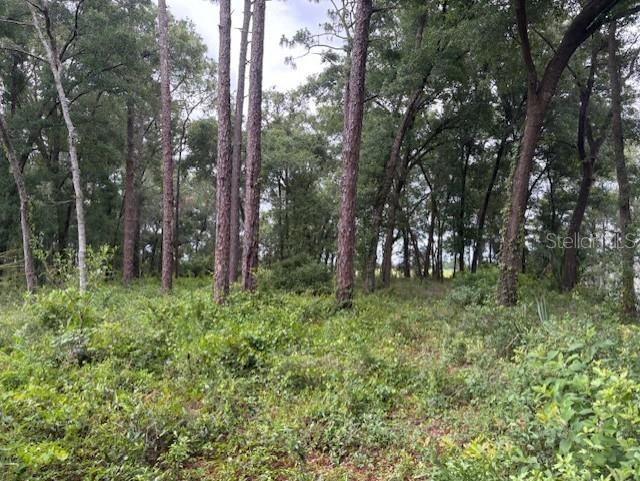 3963 S Placid, Inverness, FL 34452