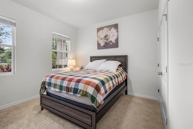 5006 Jackel Chase Dr, Wimauma, FL 33598 - carpeted bedroom with baseboards