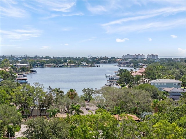 454 35th Ave NE, Saint Petersburg, FL 33704 - photo 45
