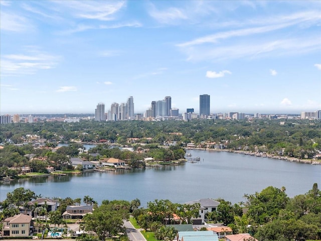 454 35th Ave NE, Saint Petersburg, FL 33704 - photo 50