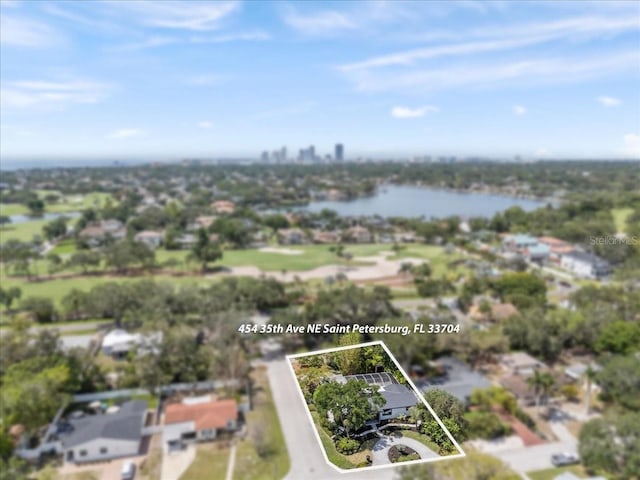 454 35th Ave NE, Saint Petersburg, FL 33704 - photo 51