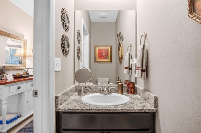 3901 Silverlake Way, Wesley Chapel, FL 33544 - bathroom with vanity, toilet, and a textured wall