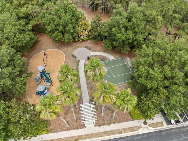 3901 Silverlake Way, Wesley Chapel, FL 33544 - aerial view