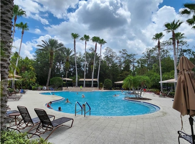 3901 Silverlake Way, Wesley Chapel, FL 33544 - community pool featuring a patio and view of scattered trees