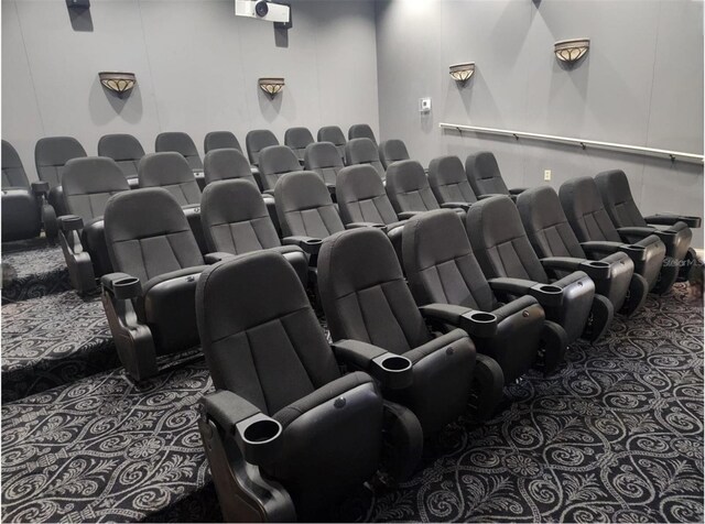 3901 Silverlake Way, Wesley Chapel, FL 33544 - cinema with carpet flooring