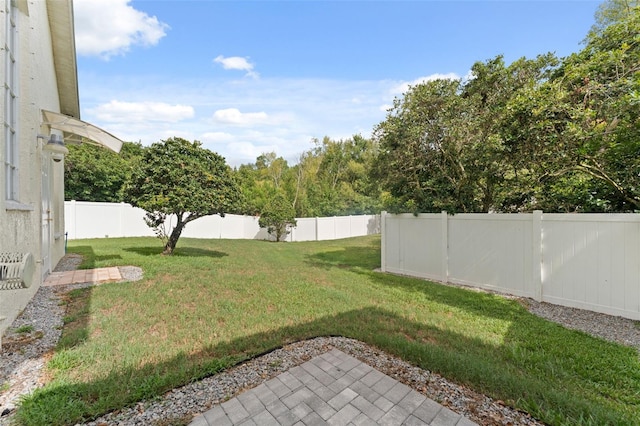 10310 Carroll Cove Pl, Tampa, FL 33612 - photo 56