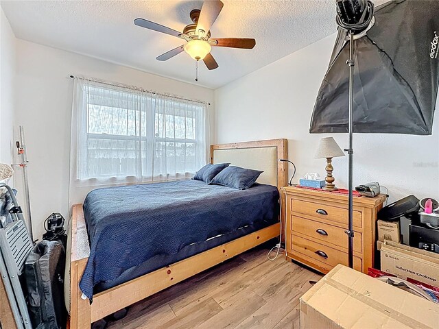 4339 58th Ave N, Saint Petersburg, FL 33714 - photo 34