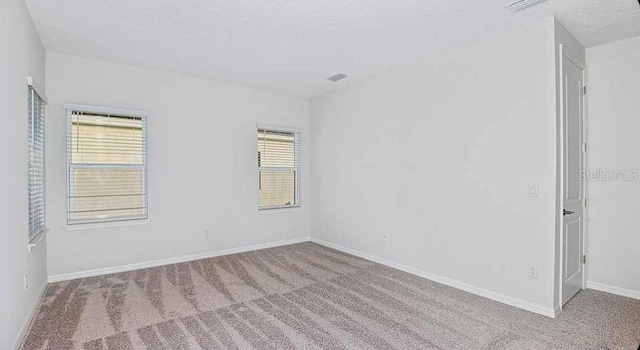33306 Castaway Loop, Wesley Chapel, FL 33543 - unfurnished room featuring carpet floors, healthy amount of natural light, and baseboards