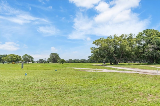39721 Meadowood Loop, Zephyrhills, FL 33542 - view of grassy yard