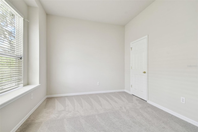 10244 Shadow Branch Dr, Tampa, FL 33647 - spare room with healthy amount of natural light, carpet, and baseboards